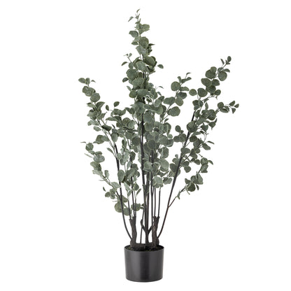 Eucalyptus Plant H117 cm - Green
