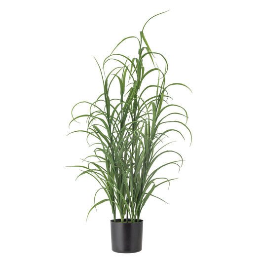 Grass Plant H92 cm - Green