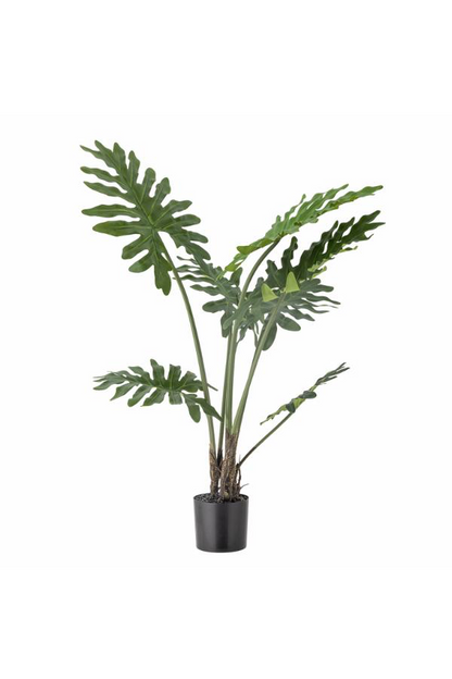 Philodendron Plant H84 cm with pot