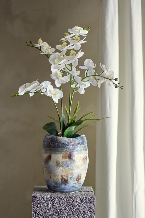 Orchid Plant H84 cm