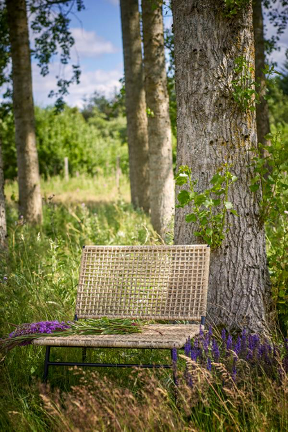 Vallone Lounge Chair 2pcs - Nature / Polyrattan