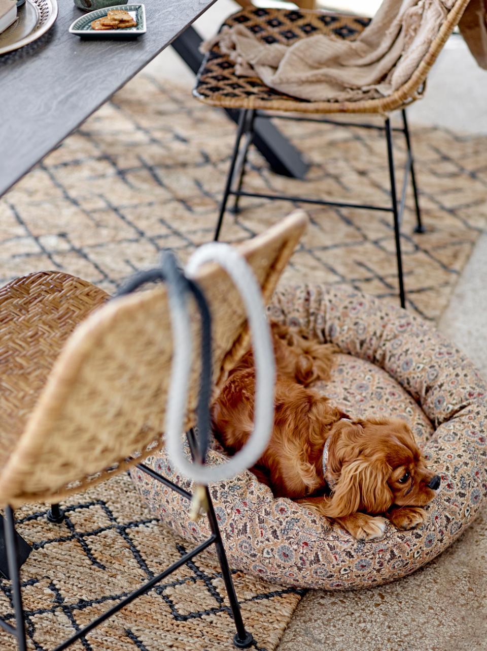 Kitty Dining Chair - Nature / Rattan