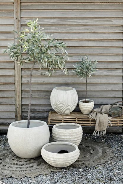 Flora olive tree H73 cm - green