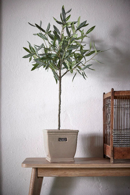 Flora olive tree H73 cm - green