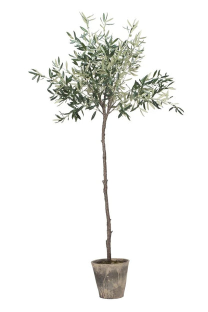 Flora olive tree H160 cm - green