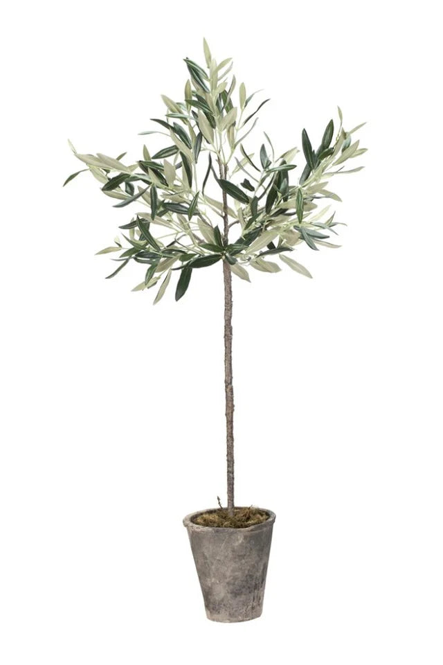 Flora olive tree H73 cm - green