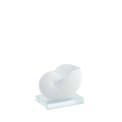 Shella decoration 7,5x9,2 cm - white