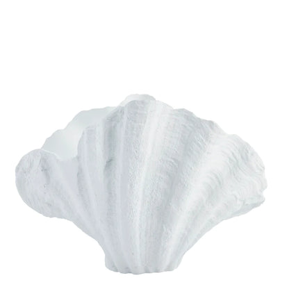 Shella decoration 26x23 cm - white