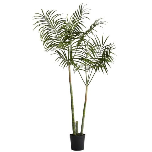 Flora kentia palm H185 cm - green