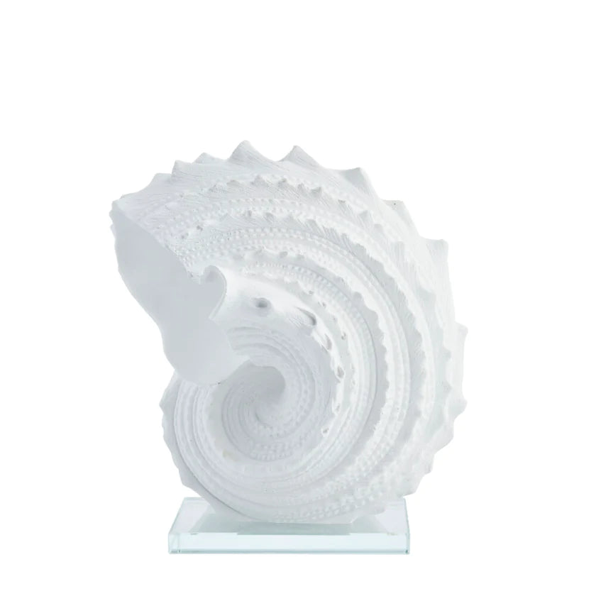 Shella decoration 16,5x27,5 cm - white