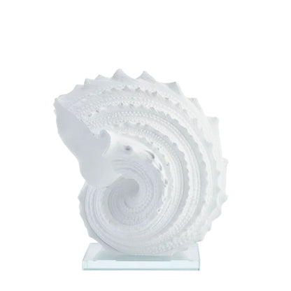 Shella decoration 16,5x27,5 cm - white