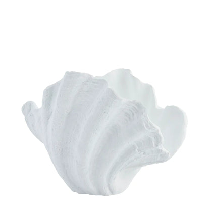 Shella decoration 26x23 cm - white