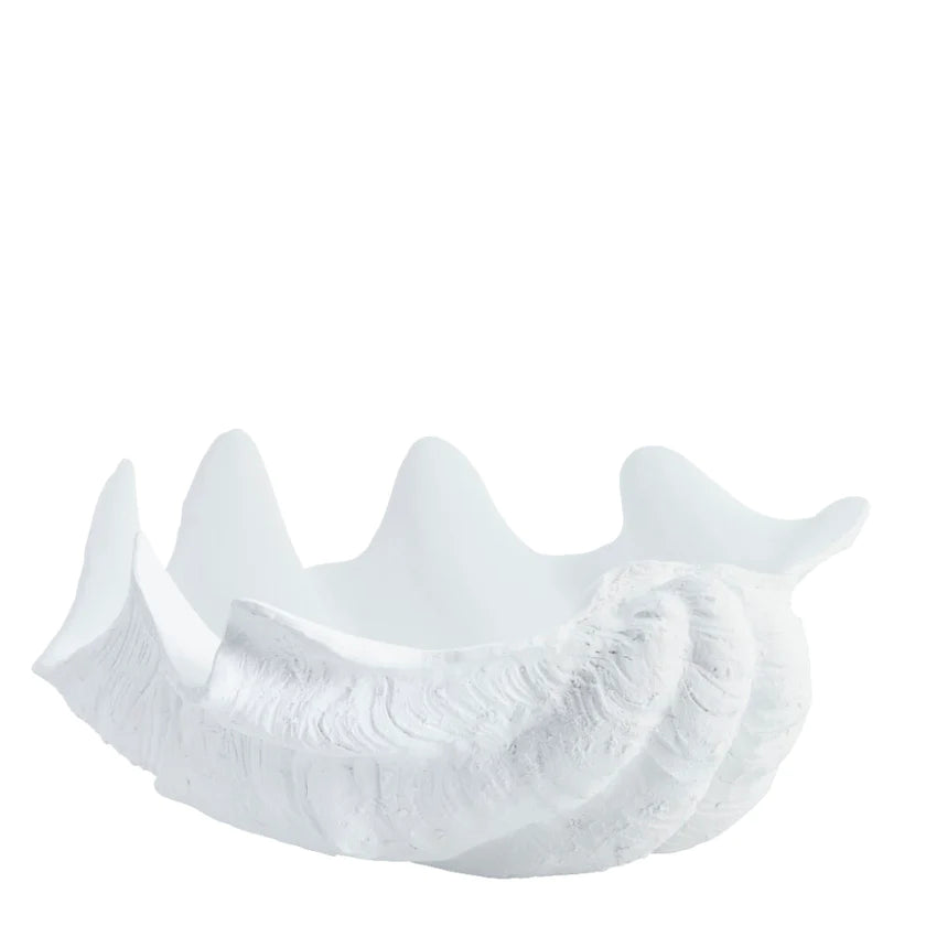 Shella decoration 39x18,5 cm - white