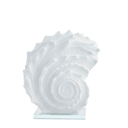 Shella decoration 16,5x27,5 cm - white