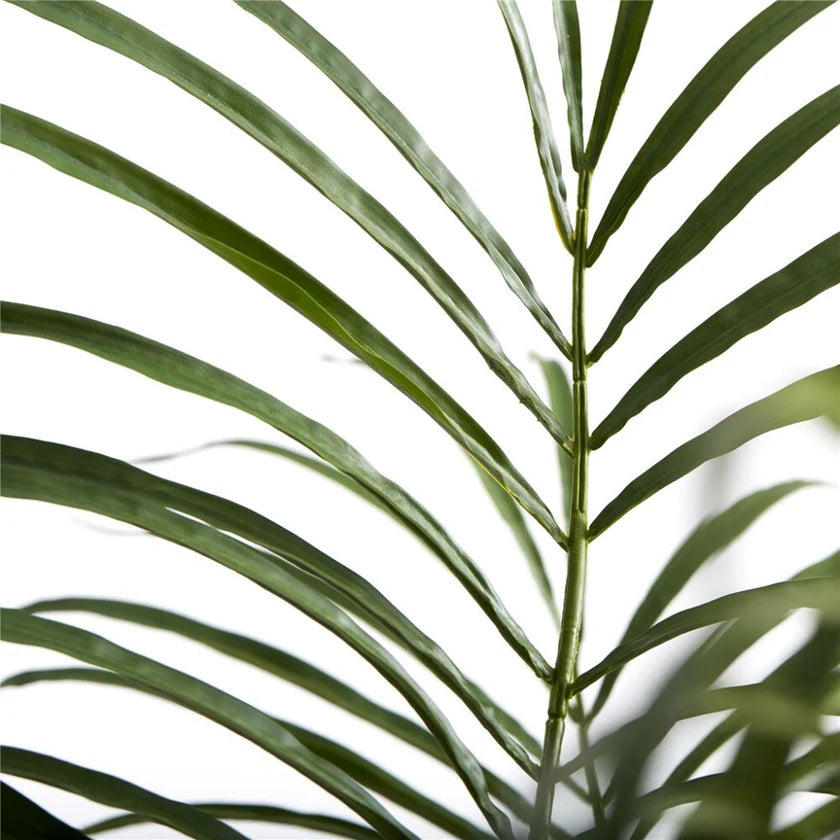 Flora kentia palm H185 cm - green