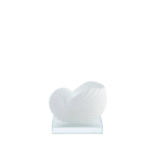 Shella decoration 7,5x9,2 cm - white