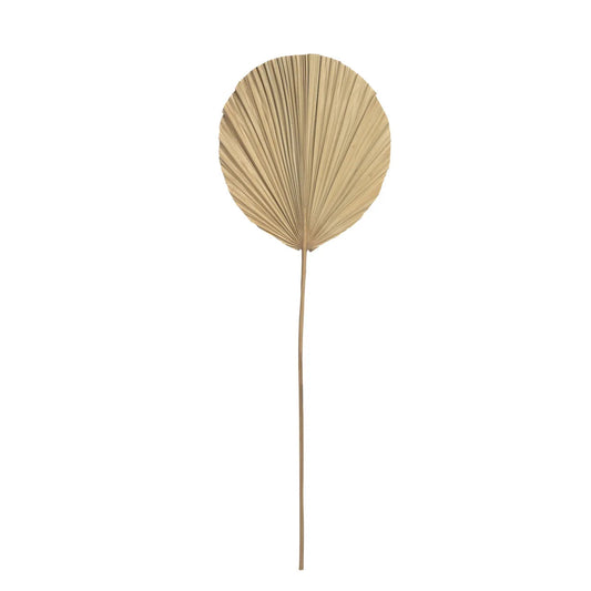 The Rayung Leaf - Natural - Set of 4