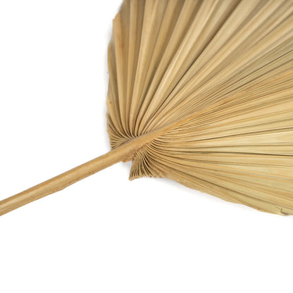 The Rayung Leaf - Natural - Set of 4