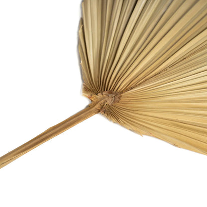 The Rayung Leaf - Natural - Set of 4