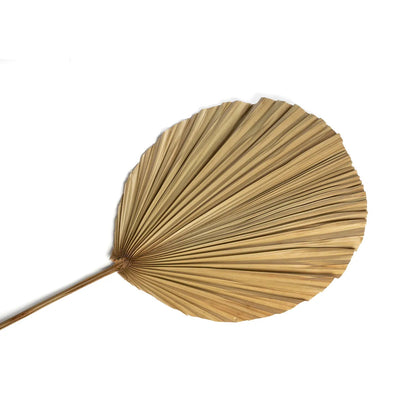 The Rayung Leaf - Natural - Set of 4