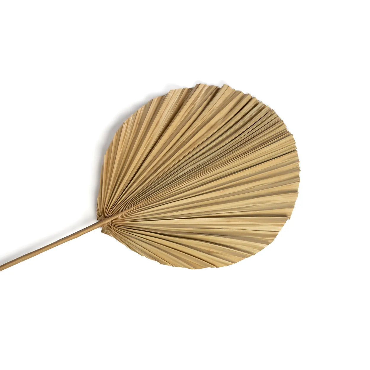 The Rayung Leaf - Natural - Set of 4