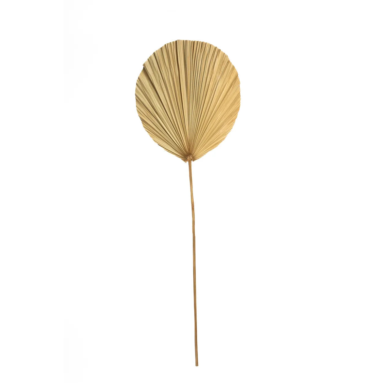 The Rayung Leaf - Natural - Set of 4