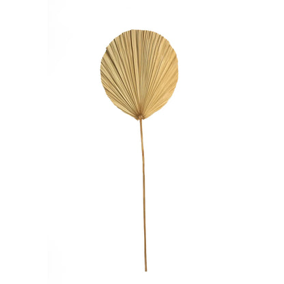 The Rayung Leaf - Natural - Set of 4