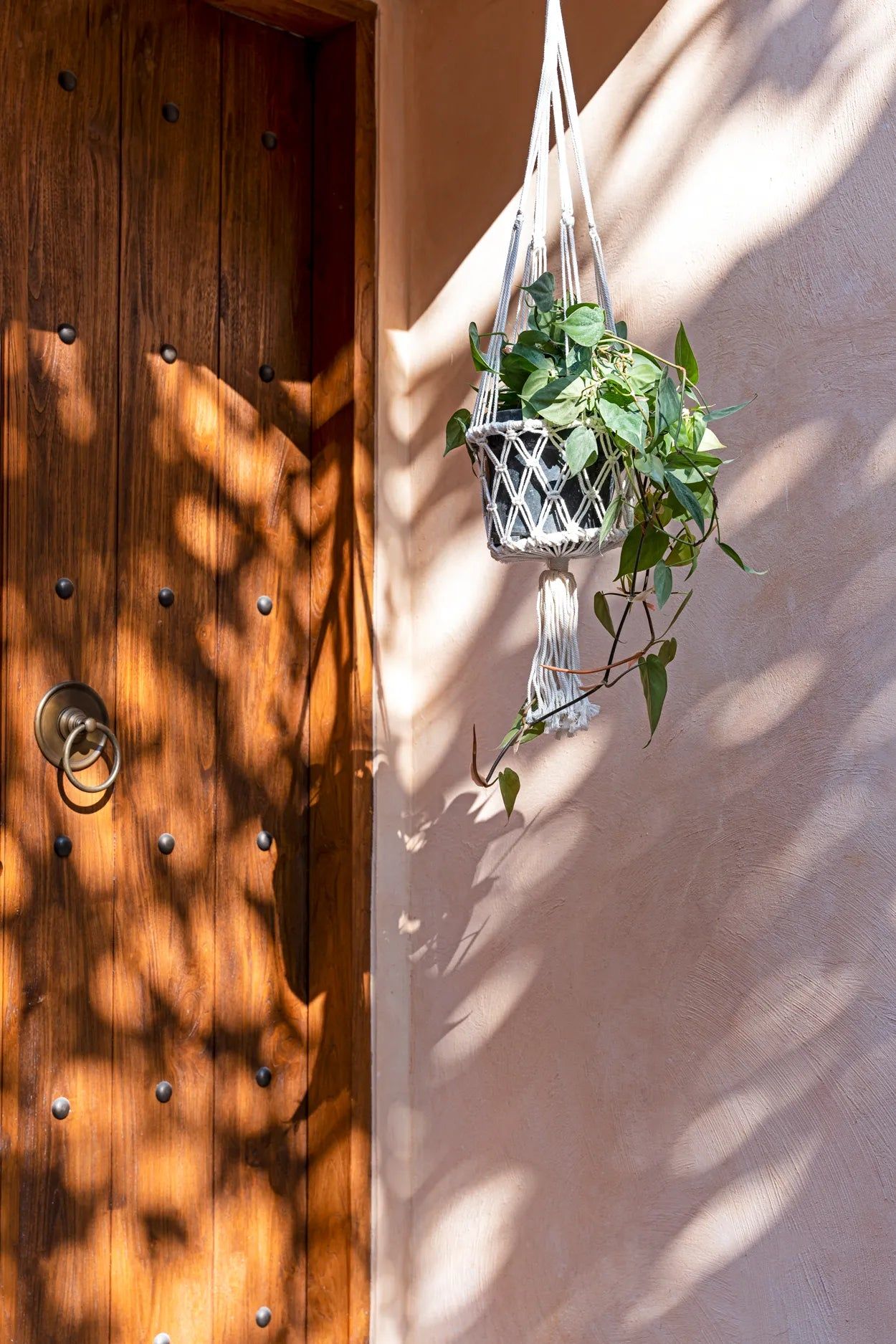 The Macrame Plant Holder - White - M