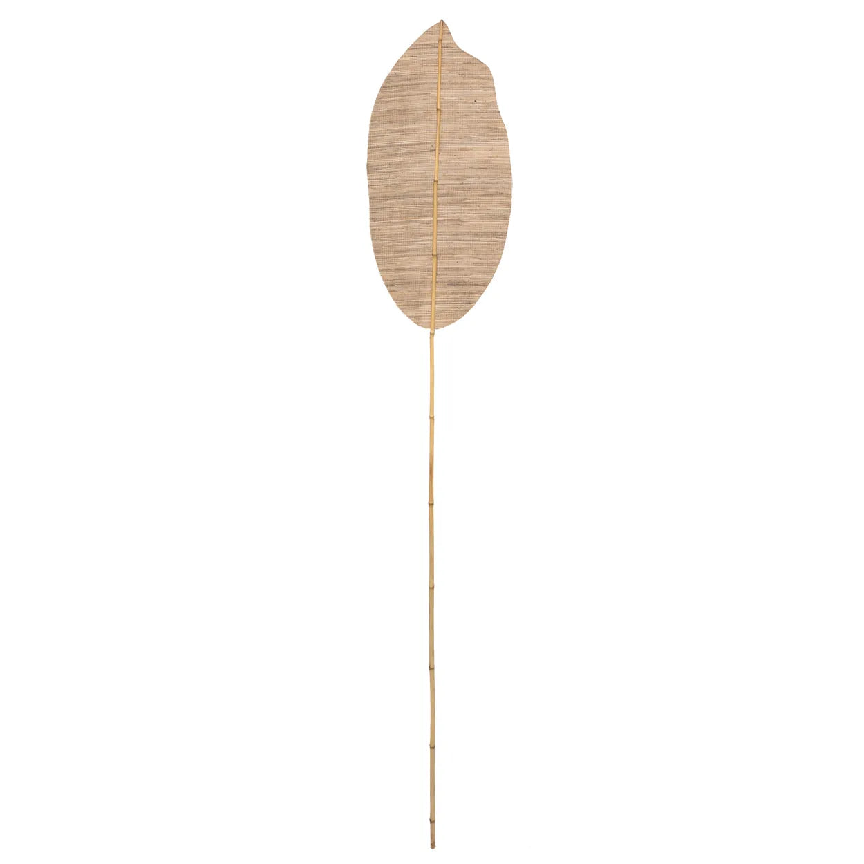 The Ayung River Paddle - Natural - Set of 2