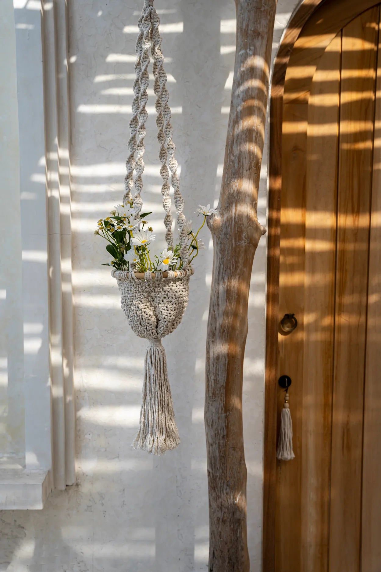 The Twisted Macramé Plant Holder - Natural White - M