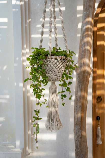 The Twisted Macramé Plant Holder - Natural White - M