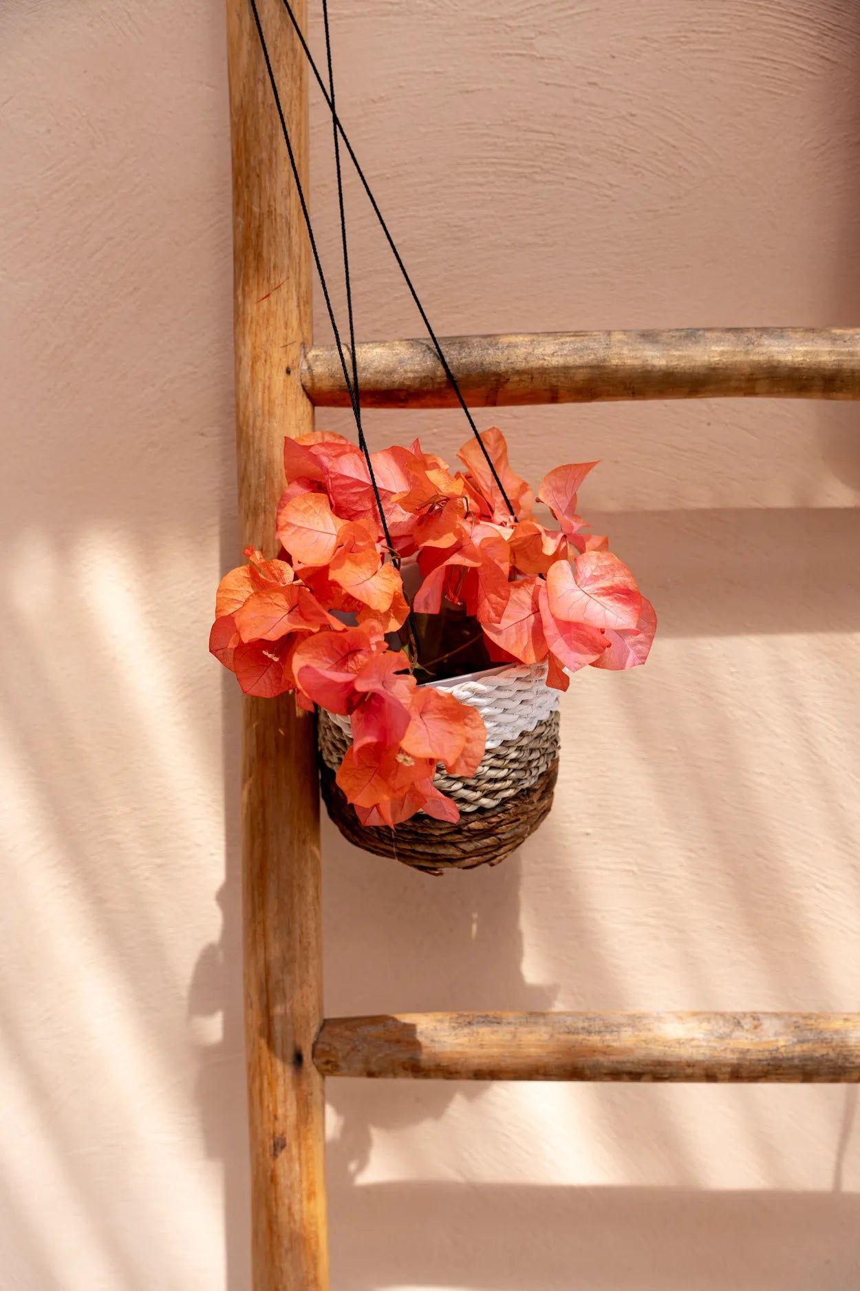 The Banana Plant Hanger - Natural White - S
