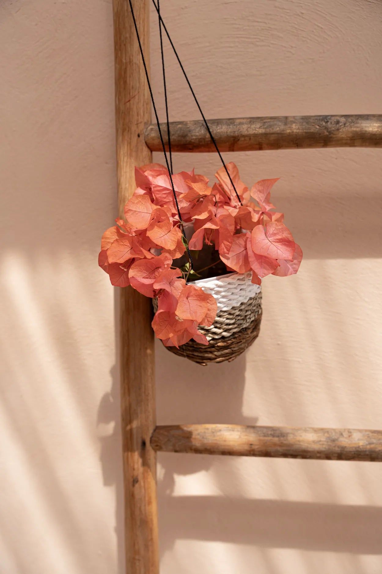 The Banana Plant Hanger - Natural White - S