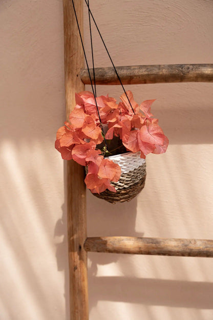 The Banana Plant Hanger - Natural White - S