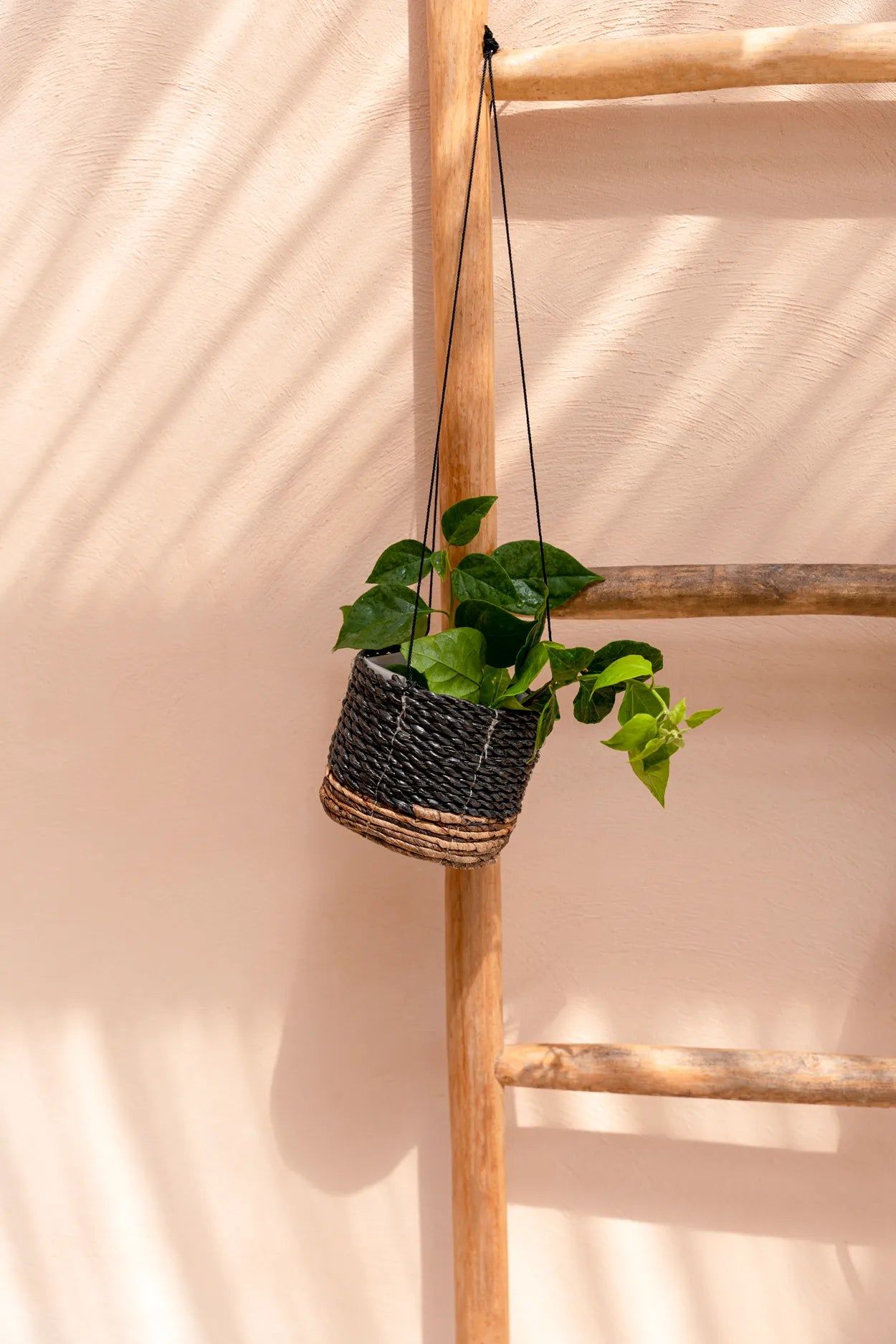 The Banana Plant Hanger - Natural Black - S
