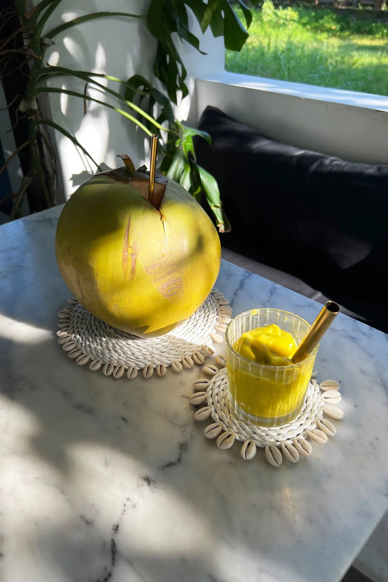 Posavasos de concha de algas marinas - Blanco