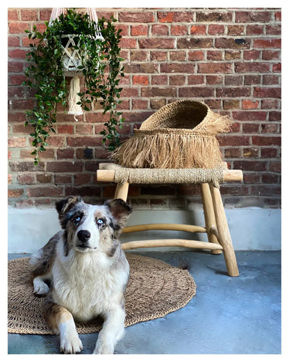 The Macrame Plant Holder - White - L