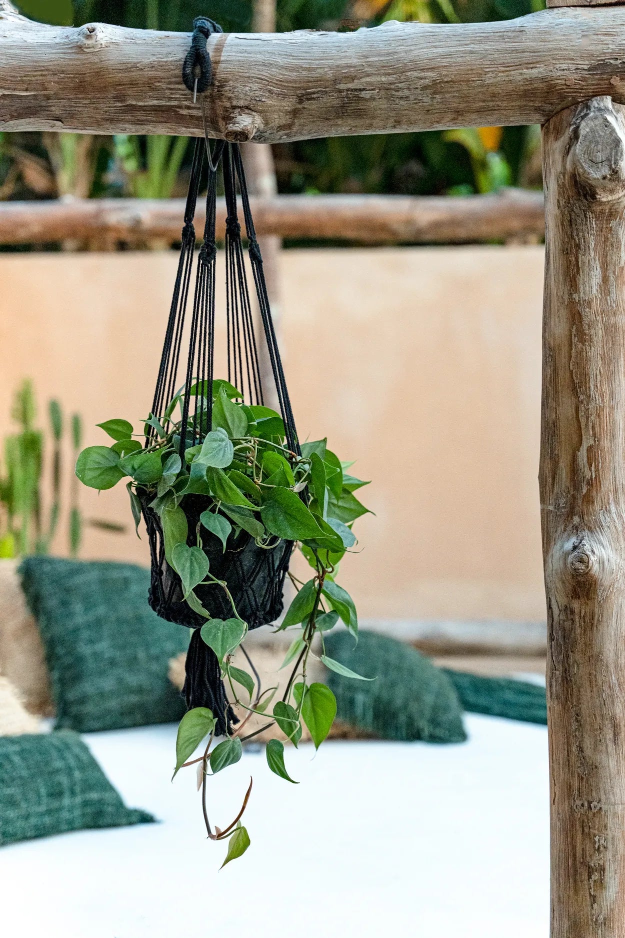 The Macrame Plant Holder - Black - S