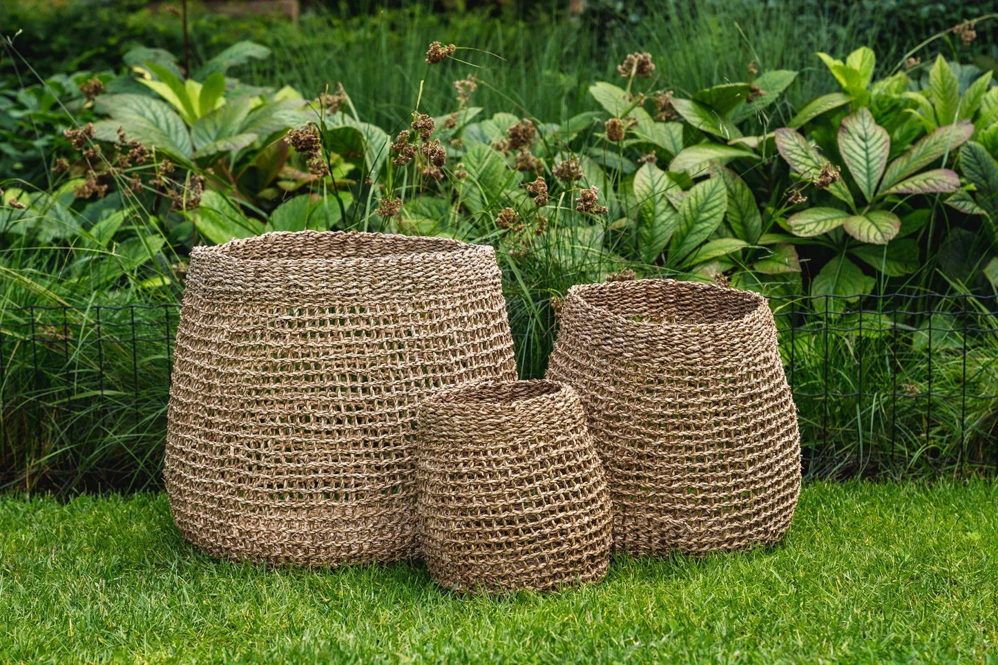 The Lang Co Basket - Natural - S