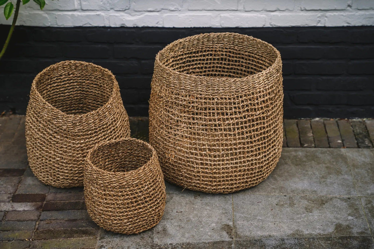 The Lang Co Basket - Natural - S